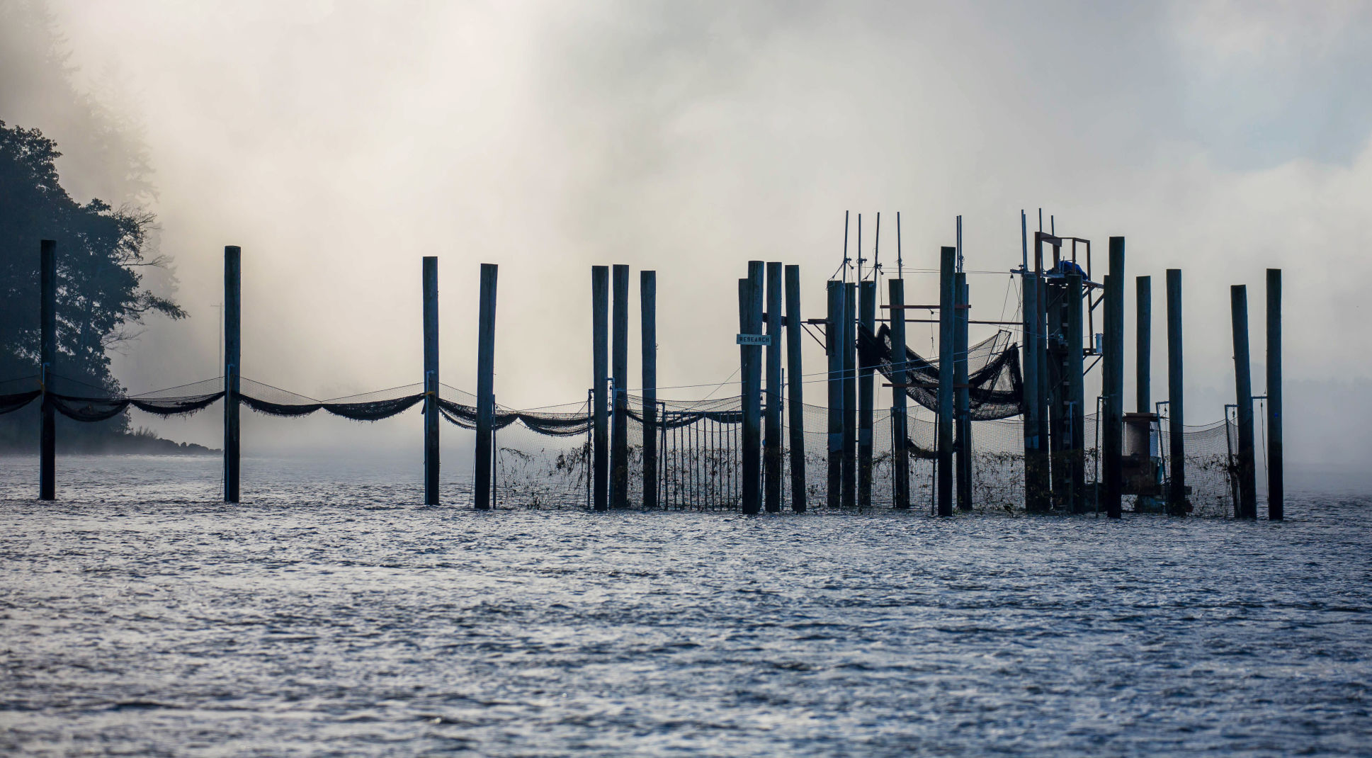 Fish trap